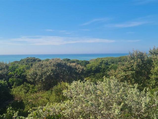 Land for sale in Cape St Francis, Eastern Cape