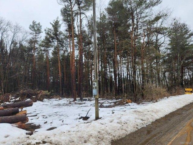 Land for sale in Franklinville, New York