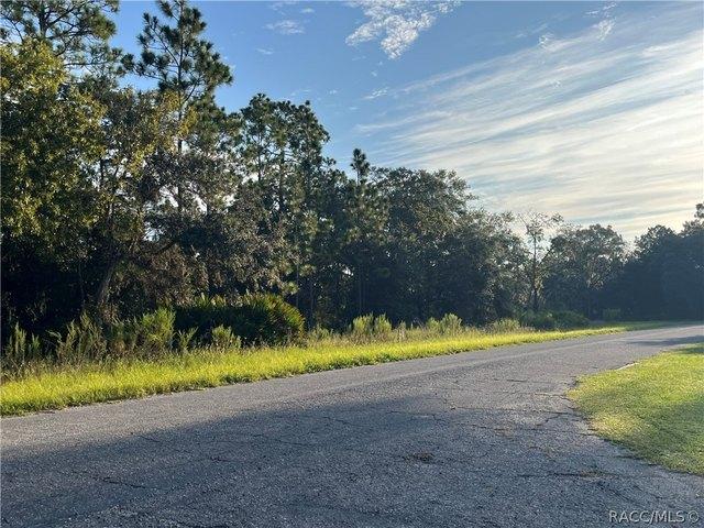 Land for sale in Florida
