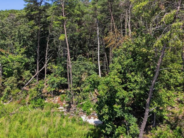 Land for sale in Signal Mountain, East Tennessee