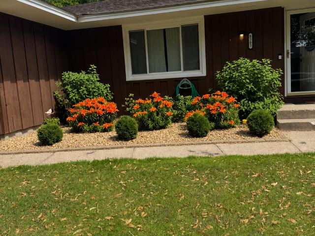 House for sale in Cottage Grove, Minnesota