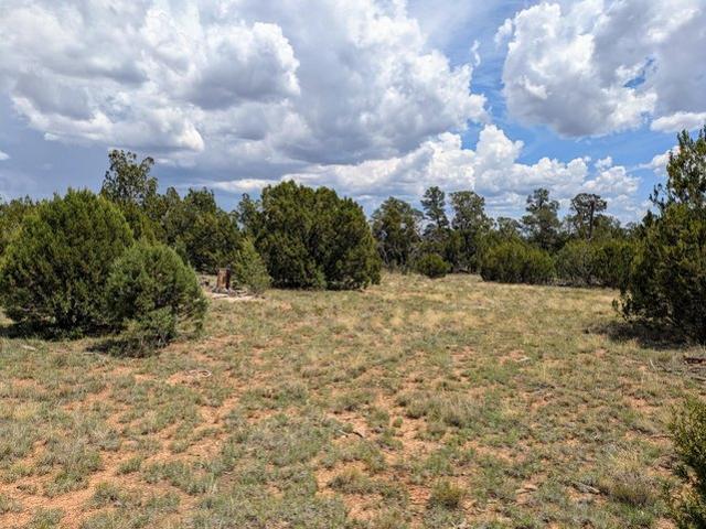 Land for sale in Happy Jack, Arizona