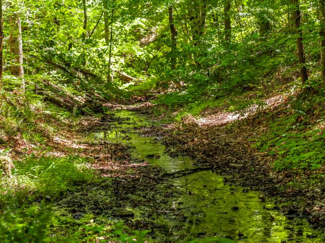 Land for sale in Tennessee