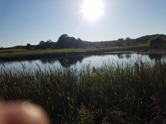 Farm for sale in Tennessee