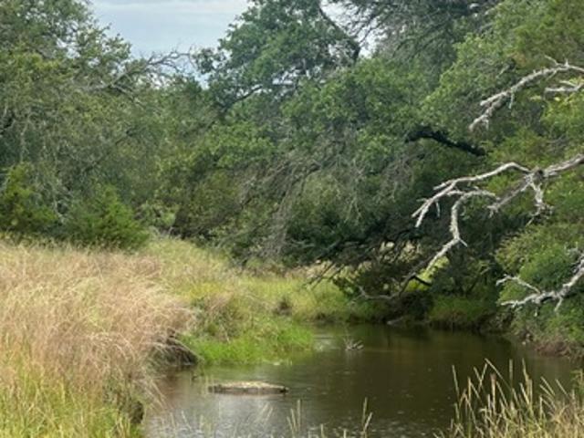 Farm for sale in Goldthwaite, Mills County