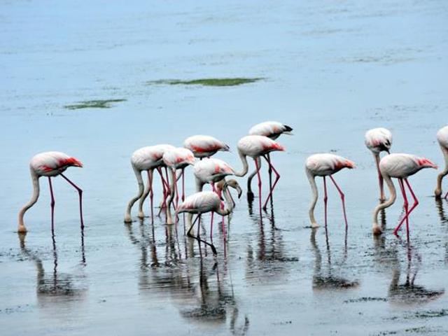 Land for sale in Cape St Francis, Eastern Cape