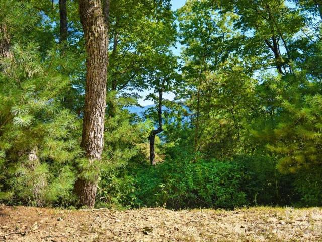Land for sale in North Carolina