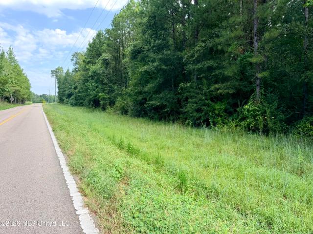 Land for sale in Jefferson Davis County, Mississippi