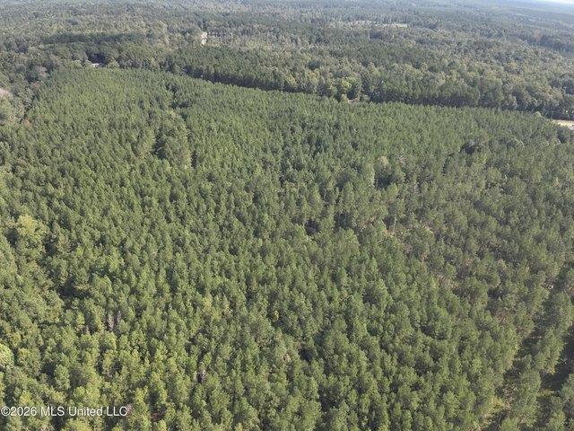 Land for sale in Oak Vale, Mississippi