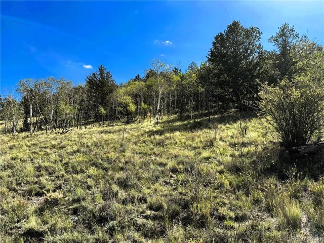 Land for sale in Hartsel, Colorado
