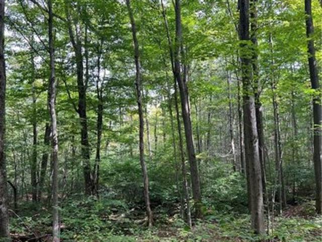 Farm for sale in Village of Fredonia, Chautauqua County
