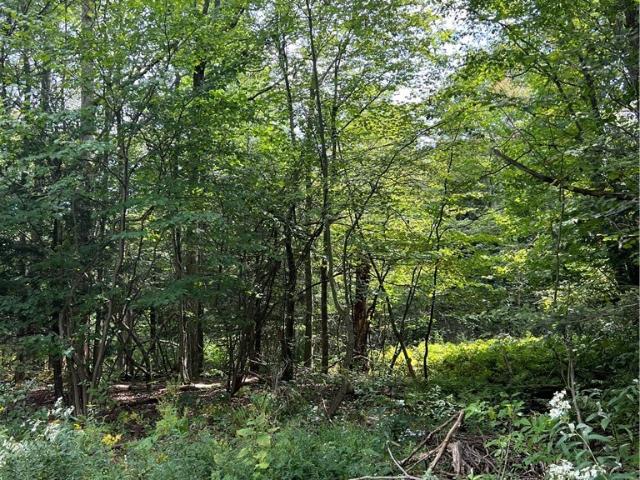 Land for sale in Village of Fredonia, Chautauqua County