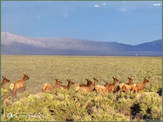 Land for sale in Mosca, Colorado