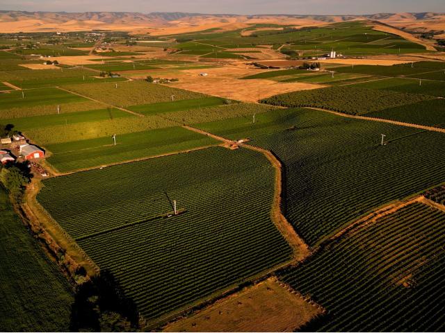 Land for sale in Milton Freewater