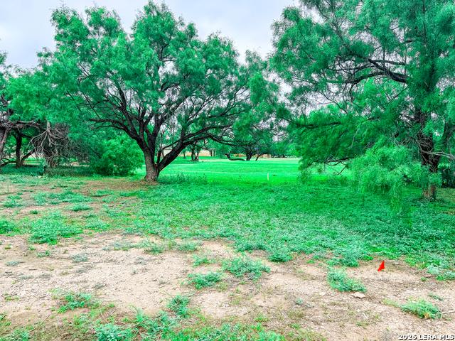 Land for sale in Kinney, Texas