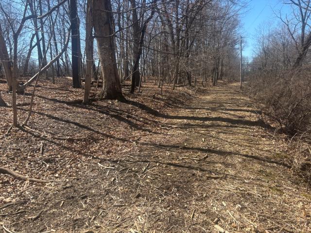 Land for sale in Marshall, Illinois