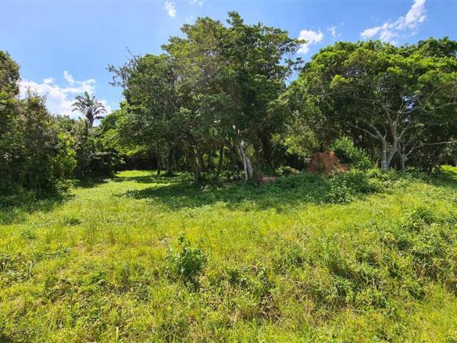 Land for sale in Amathole District Municipality, Eastern Cape