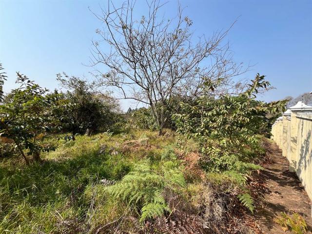 Land for sale in Eshowe, Kwazulu-natal