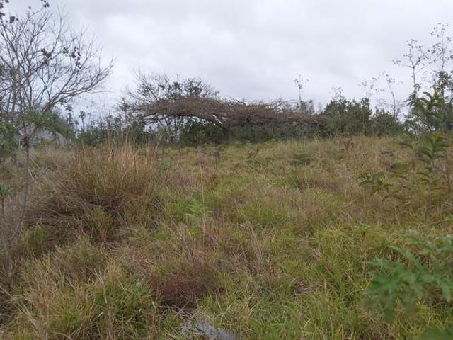 Land for sale in Eshowe, Kwazulu-natal