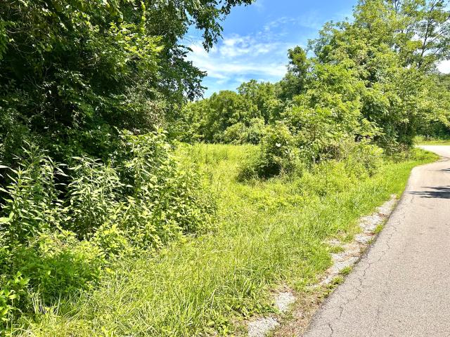 Land for sale in Carlisle, Kentucky