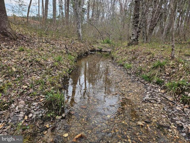 Land for sale in Virginia