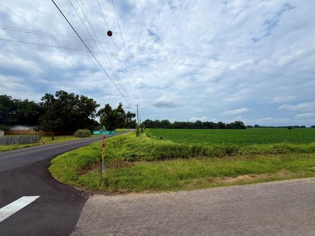 Land for sale in Newton, Alabama