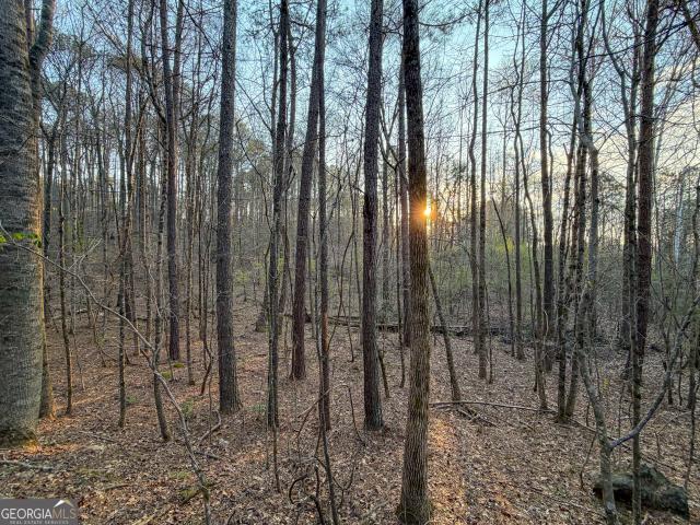 Land for sale in Franklin, Georgia