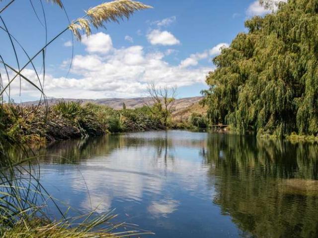 Property for sale in Otakou