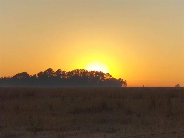 Farm for sale in Waterkloof, Gauteng