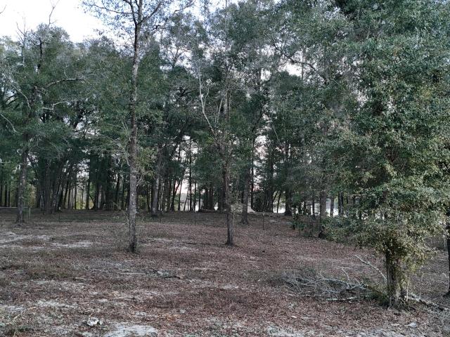 Land for sale in Walton, Florida