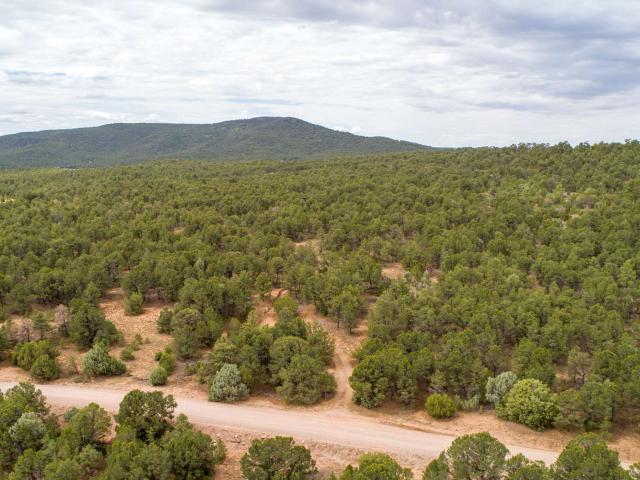 Land for sale in Pecos, New Mexico
