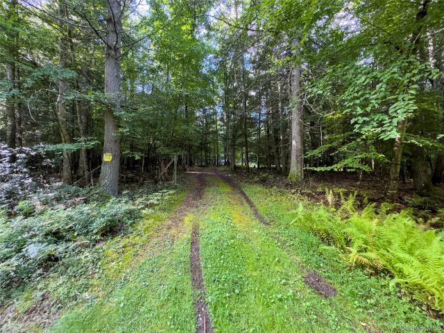 Land for sale in Town of Tusten, Sullivan County