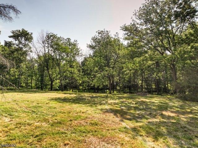 Land for sale in Neshanic Station, New Jersey
