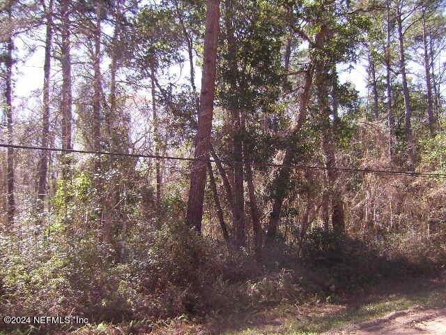 Land for sale in Middleburg, Florida