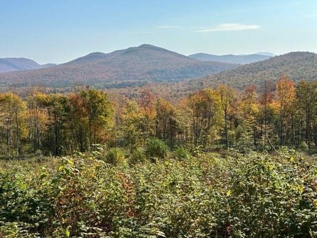 Land for sale in New York