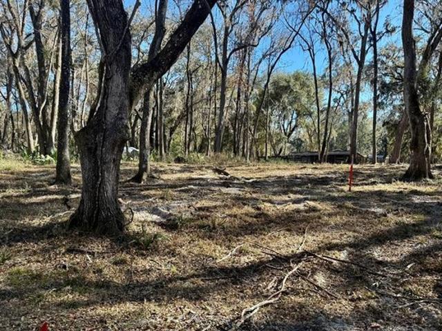 Land for sale in Dixie, Florida