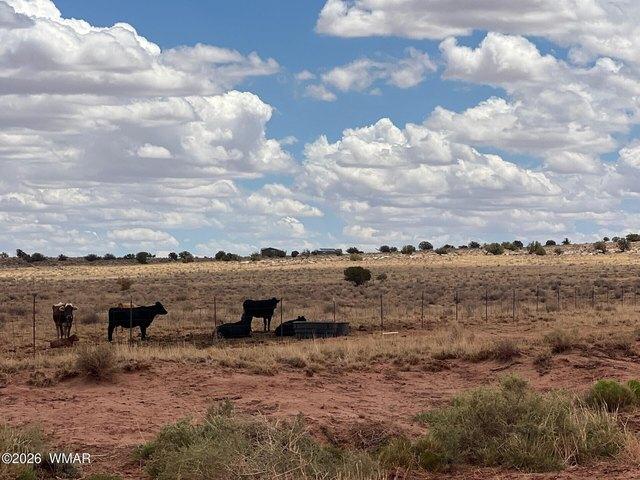 Land for sale in Navajo, Arizona