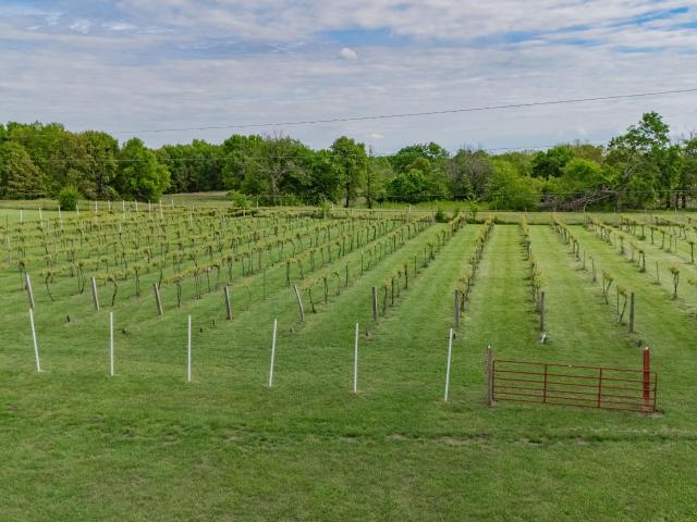 Commercial for sale in Missouri