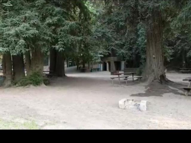 House for rent in Forestville, California