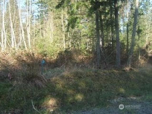 Land for sale in Anderson Island Land for sale in Anderson Island
