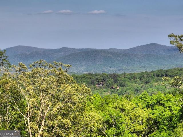 House for sale in Snake Nation, Blue Ridge