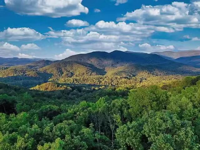 House for sale in Ellijay
