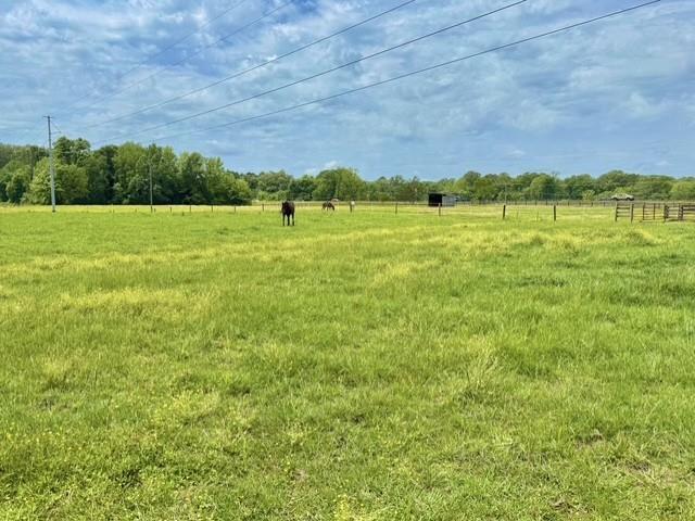 Land for sale in Terry, Mississippi