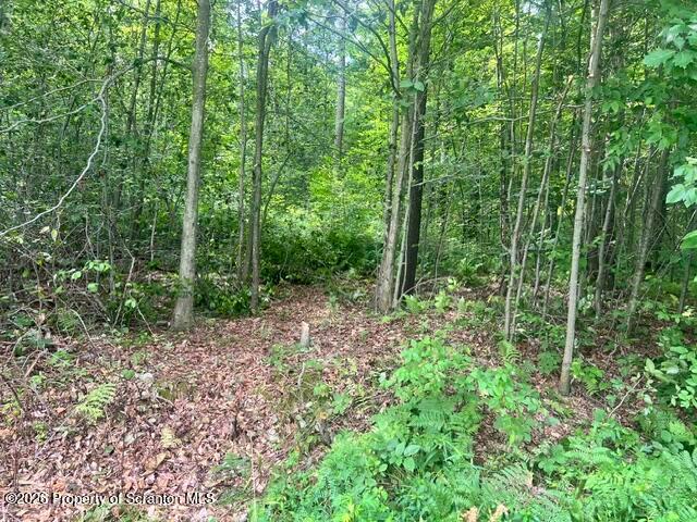 Land for sale in Salem Township, Wayne County