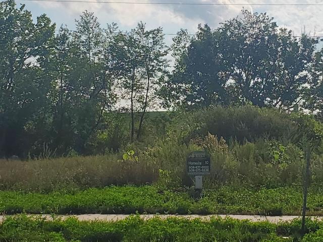 Land for sale in Dane, Wisconsin