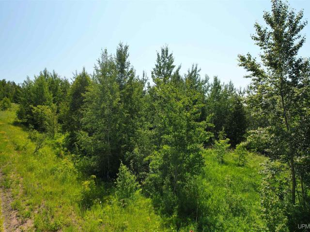 Land for sale in Houghton, Michigan