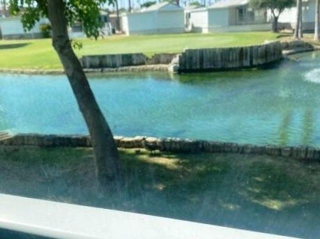 House for sale in Indio, California