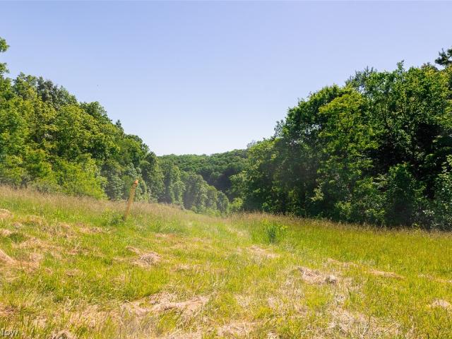 Land for sale in Cadiz, Ohio