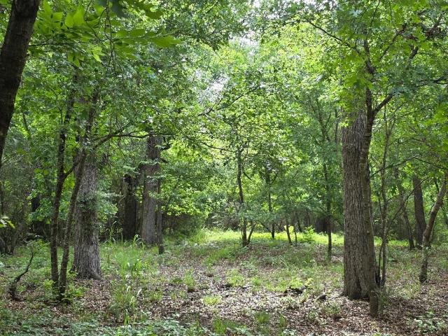 Land for sale in Cleburne, Johnson County