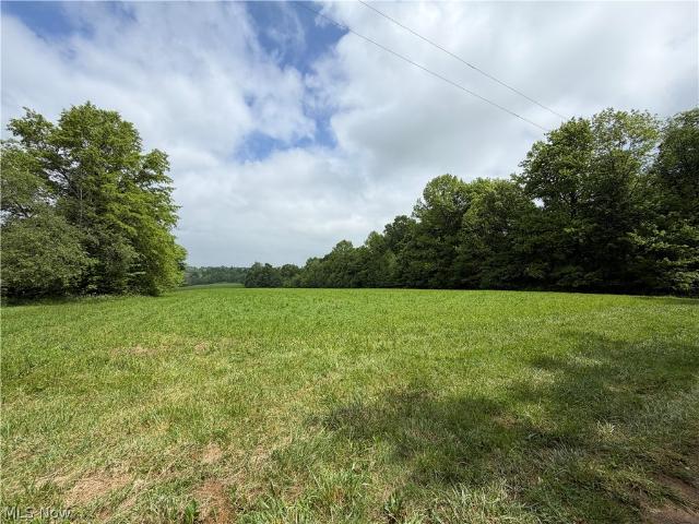 Land for sale in Shreve, Ohio